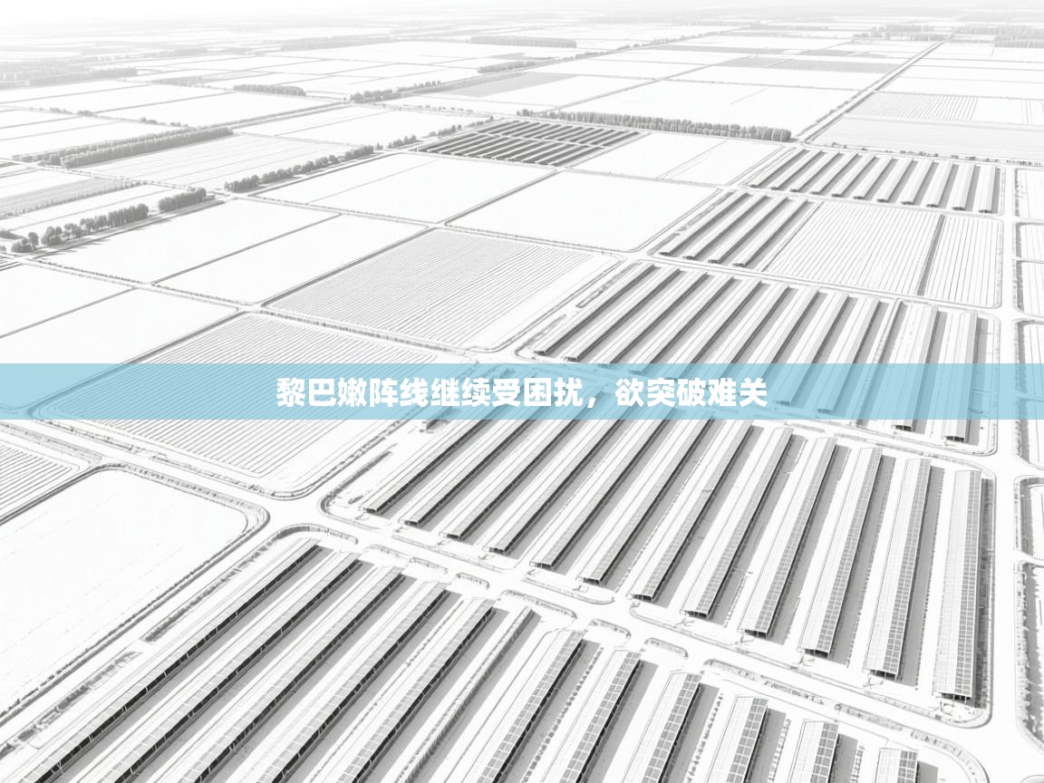 黎巴嫩阵线继续受困扰，欲突破难关  第1张