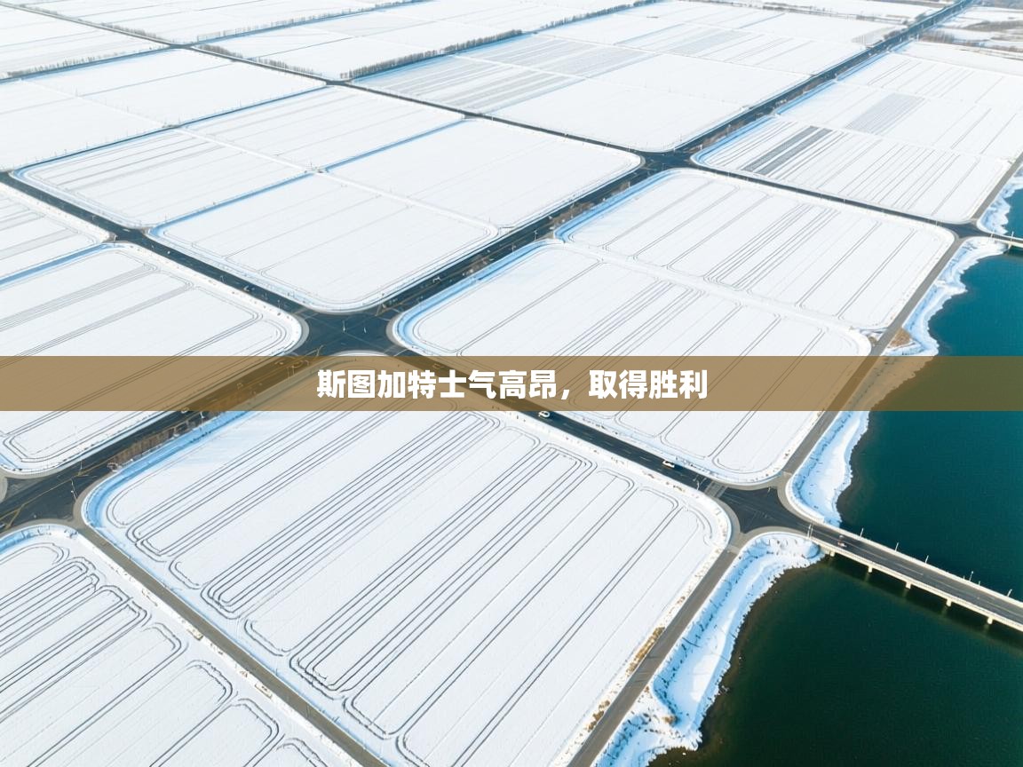 斯图加特士气高昂,取得胜利 第1张