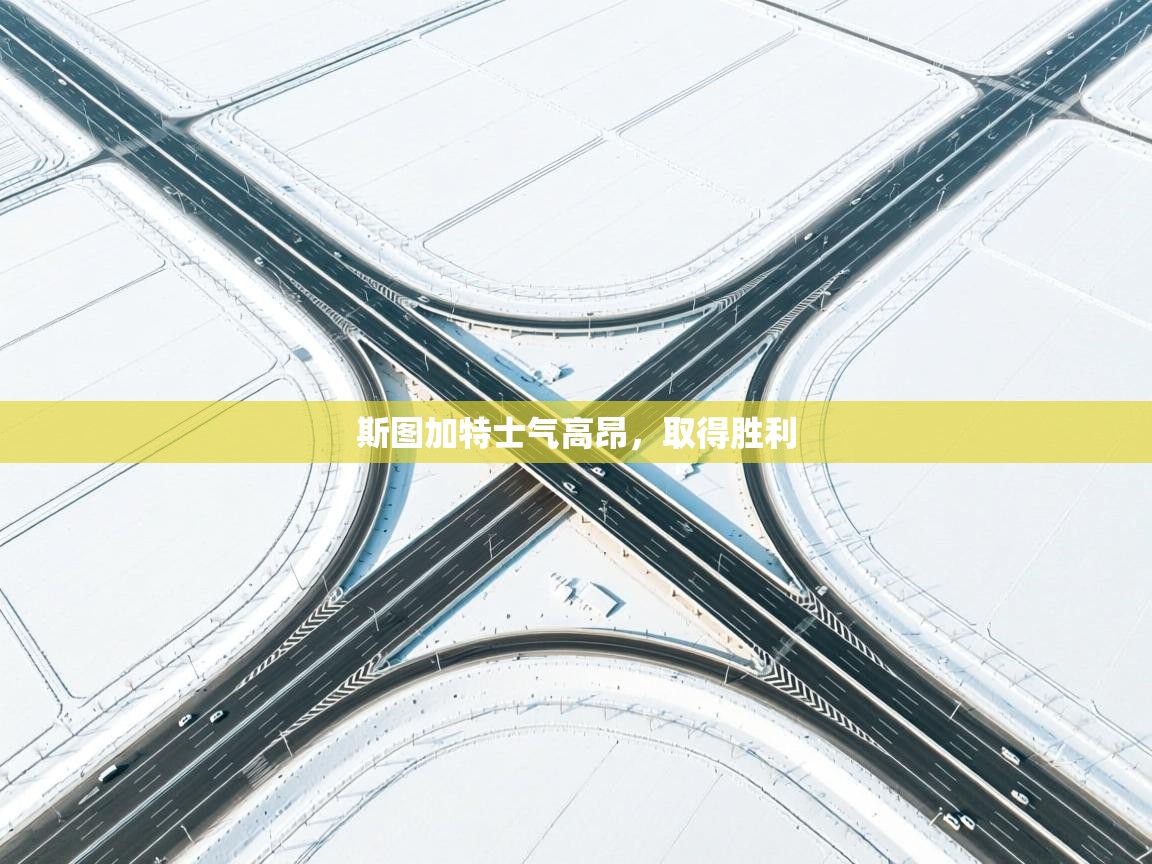 斯图加特士气高昂,取得胜利 第2张