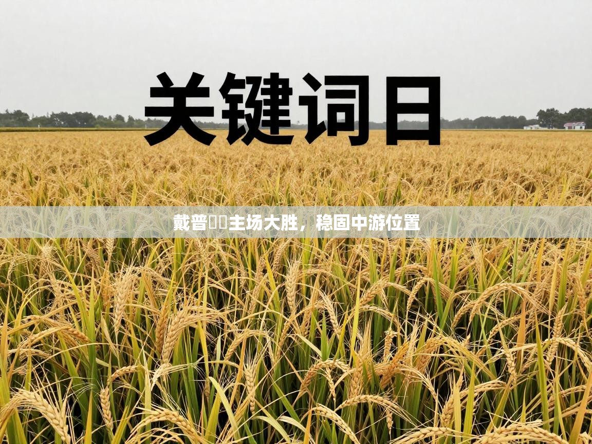 戴普馬奿主场大胜，稳固中游位置  第1张