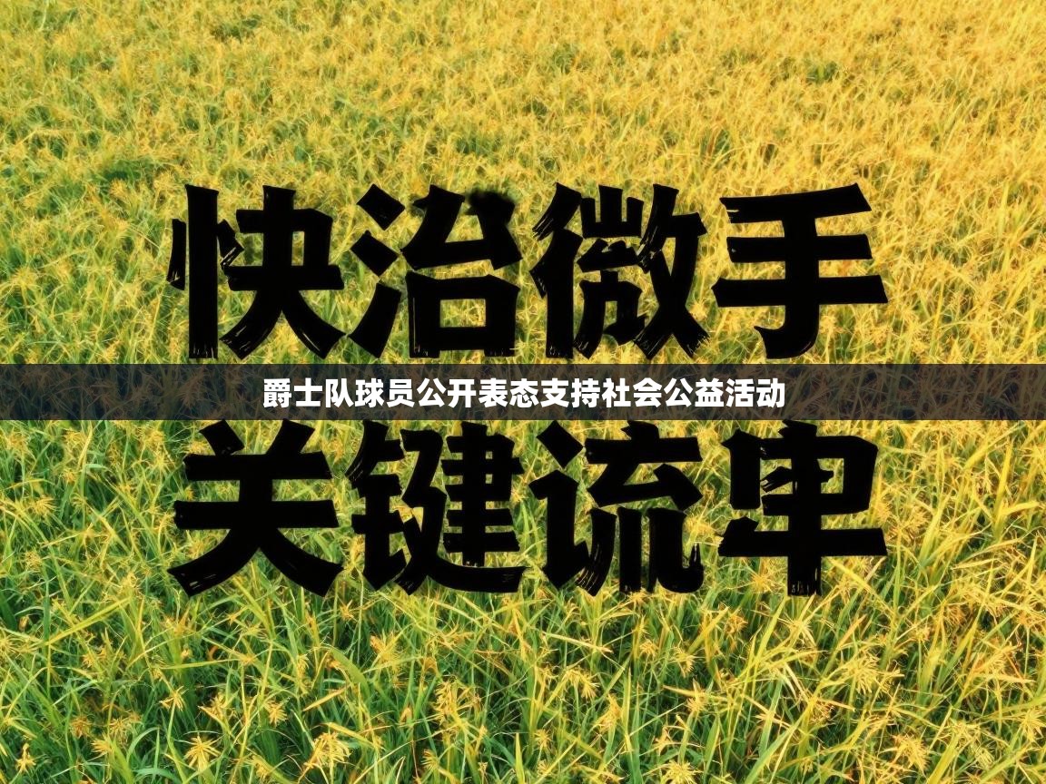 爵士队球员公开表态支持社会公益活动