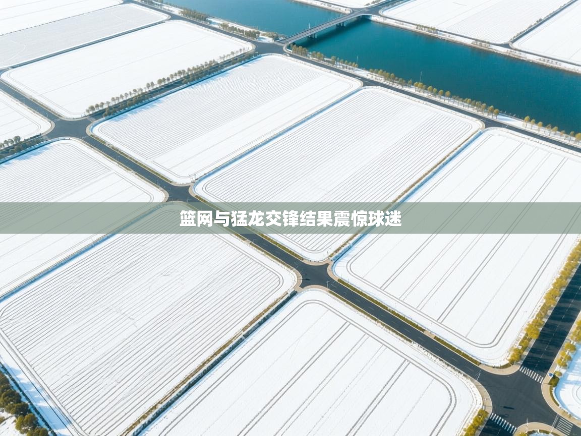 篮网与猛龙交锋结果震惊球迷  第2张