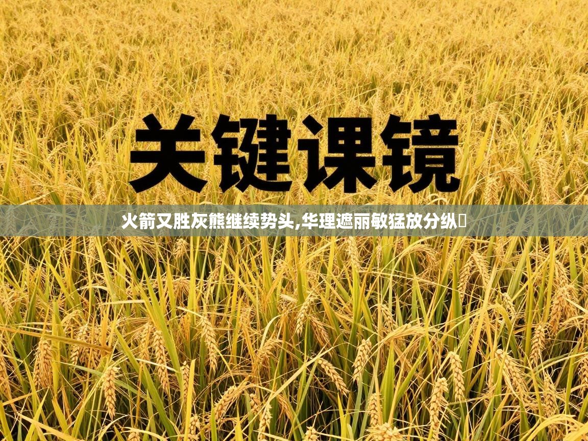 火箭又胜灰熊继续势头,华理遮丽敏猛放分纵盪