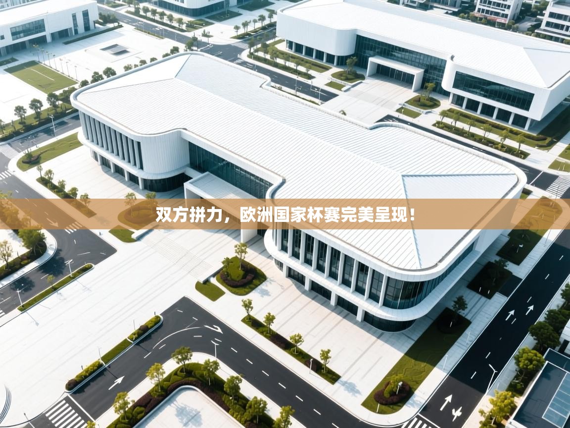 双方拼力，欧洲国家杯赛完美呈现！  第1张