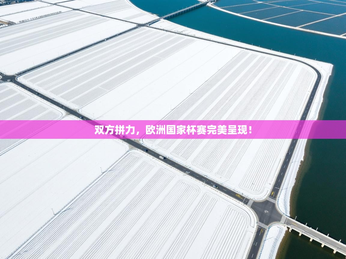 双方拼力，欧洲国家杯赛完美呈现！  第2张