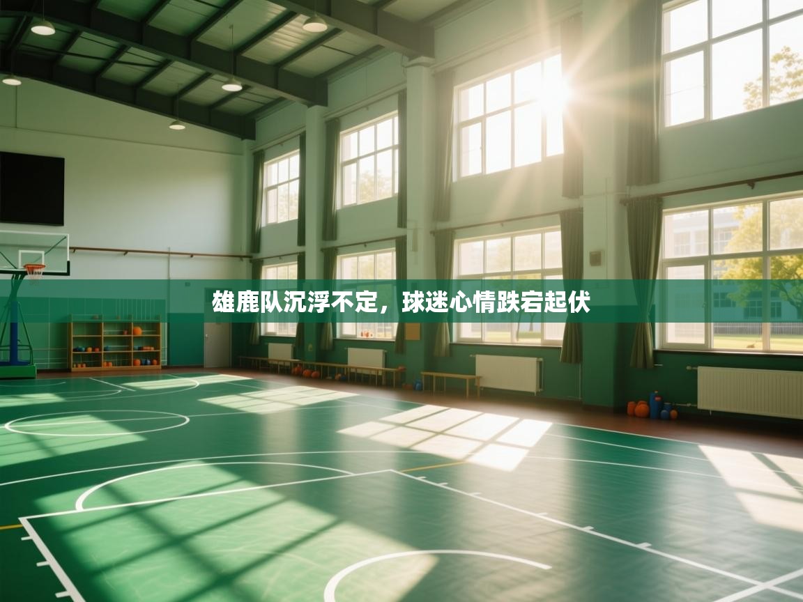 雄鹿队沉浮不定，球迷心情跌宕起伏  第1张