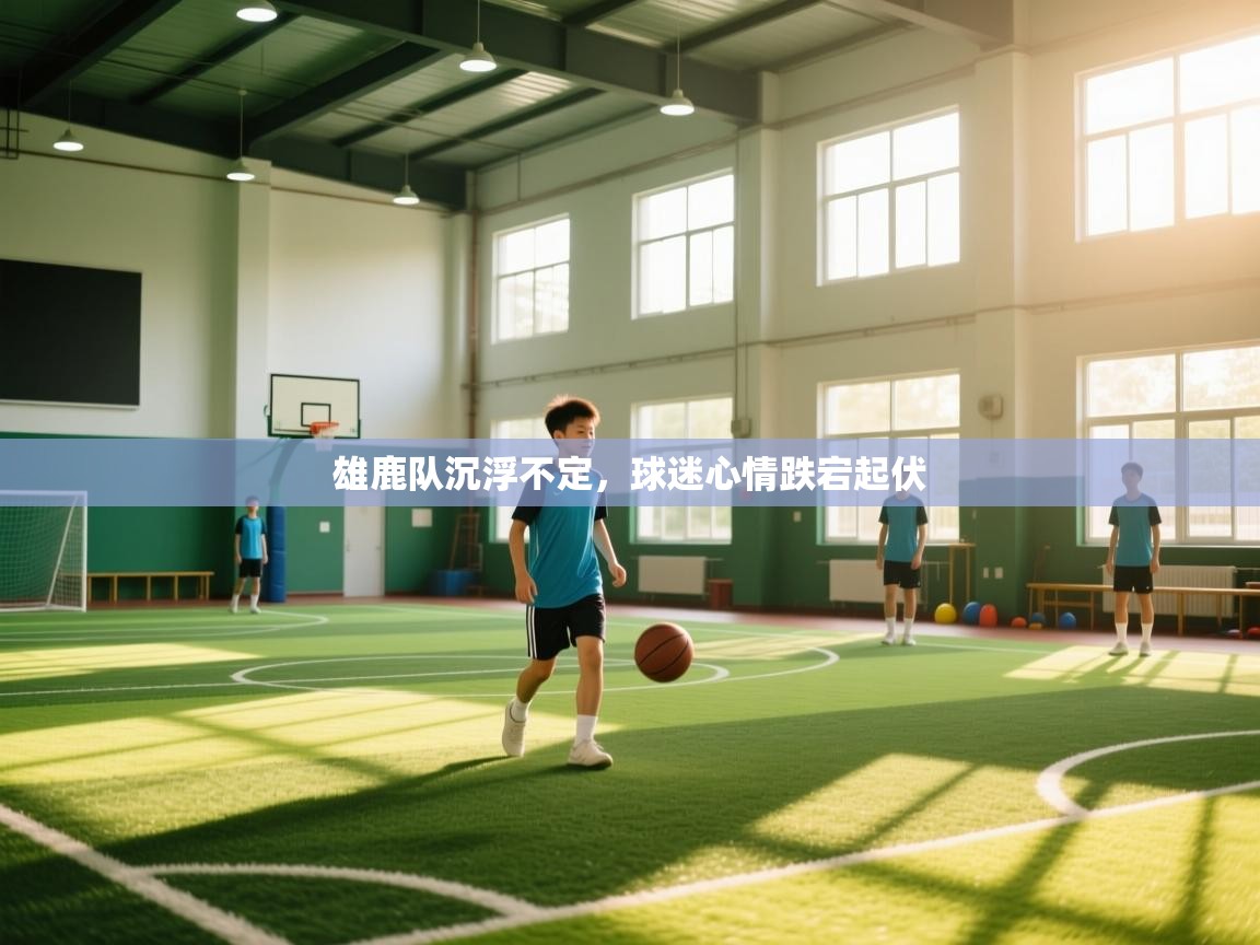 雄鹿队沉浮不定，球迷心情跌宕起伏  第2张